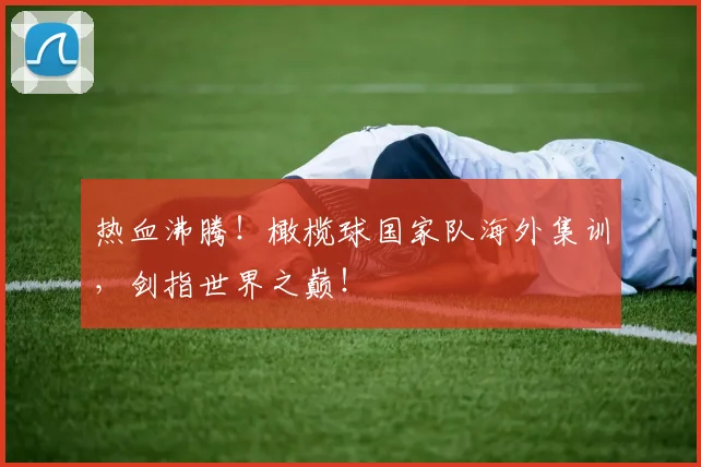 热血沸腾！橄榄球国家队海外集训，剑指世界之巅！