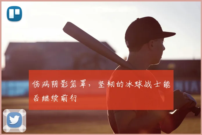 伤病阴影笼罩，坚韧的冰球战士能否继续前行