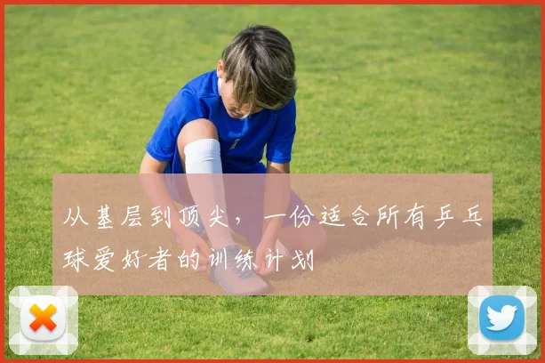 从基层到顶尖，一份适合所有乒乓球爱好者的训练计划