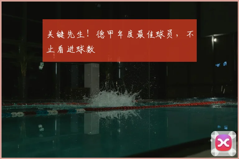 关键先生！德甲年度最佳球员，不止看进球数