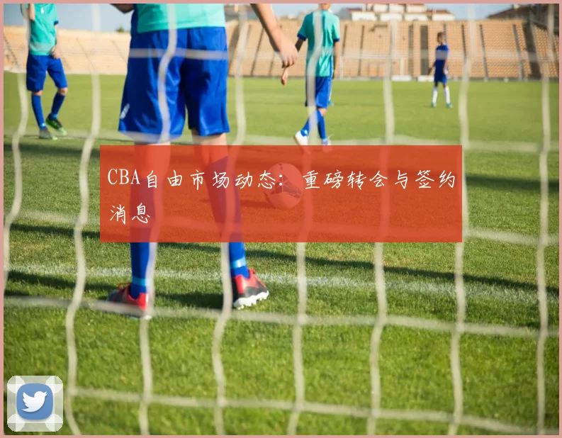 CBA自由市场动态:重磅转会与签约消息